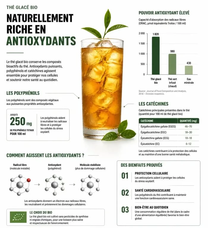 Infographie des bienfaits santé du thé glacé bio, antioxydants et polyphénols