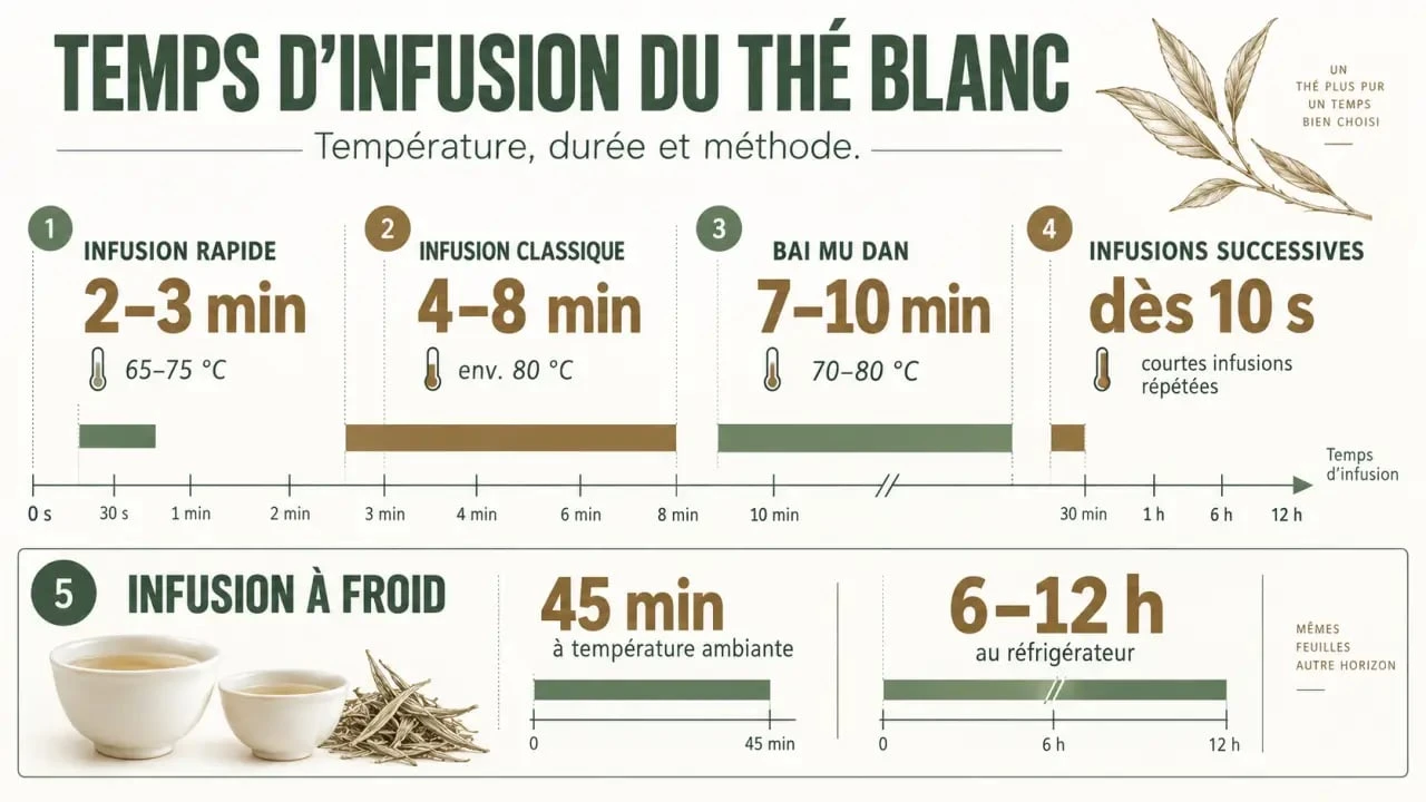 Infographie sur le temps infusion thé blanc selon la température et la méthode