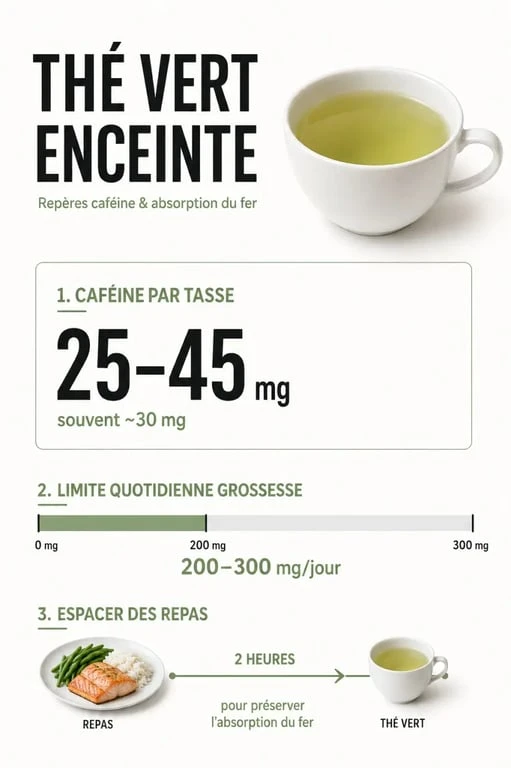 Thé vert enceinte : repères visuels sur la caféine, le fer et les quantités à limiter